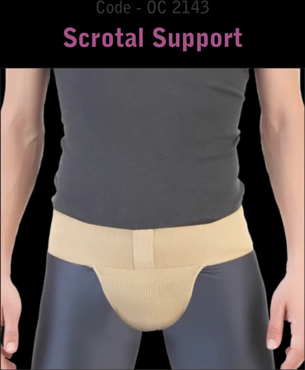 Scrotal Support